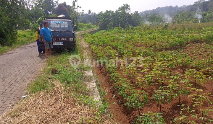 Dekat Dengan Universita Dekat Dengan Rumah Sakit Dekat Dengan Sekolah Internasional Dekat Dengan Tempat Wisata