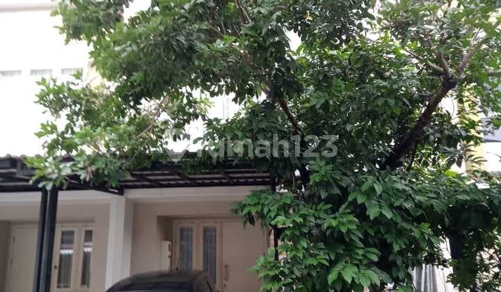 For Sale: Thomson Gading Cluster House in Serpong, Fully Renovated, Move-In Ready, SHM, Negotiable.