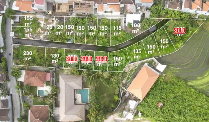 Freehold Land for Sale in Padonan (Near Canggu)
