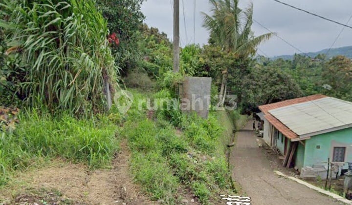 Dijual Tanah Kebun Produktif - Cianjur Bojong Koneng Cimande