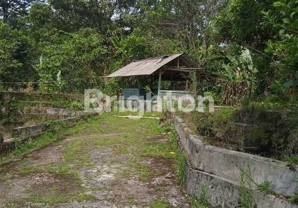 Di Jual Tanah di Area Pamijahan dengan 25 Kolam Ikan