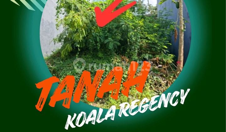 Jual Cepat Tanah Koala Regency Dekat Kampus Surabaya