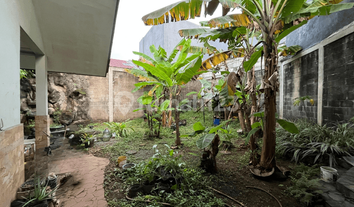 Rumah dengan LT 302 Sqm Ada Kebun