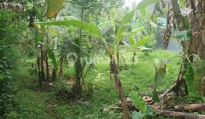 Tanah, SHM, di Bantas,