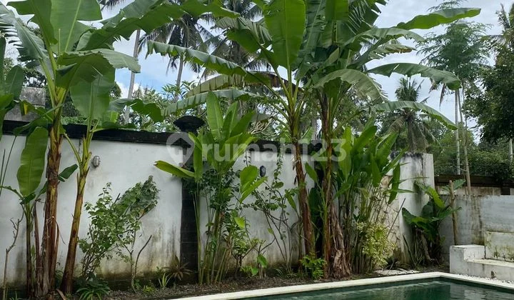 Luxury villa with rice field views in Tabanan
