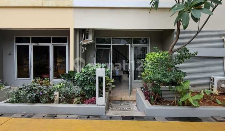 Sell Fast Maple Park Comfortable Penthouse Apartment