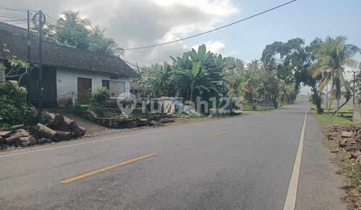 Tanah Di Selabih Tabanan Pinggir Jalan Denpasar Gilimanuk