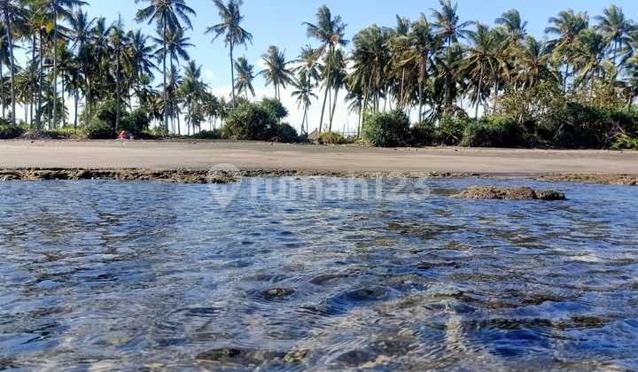 Beach front land di Perancak 30 menit ke pantai Medewi Bali
