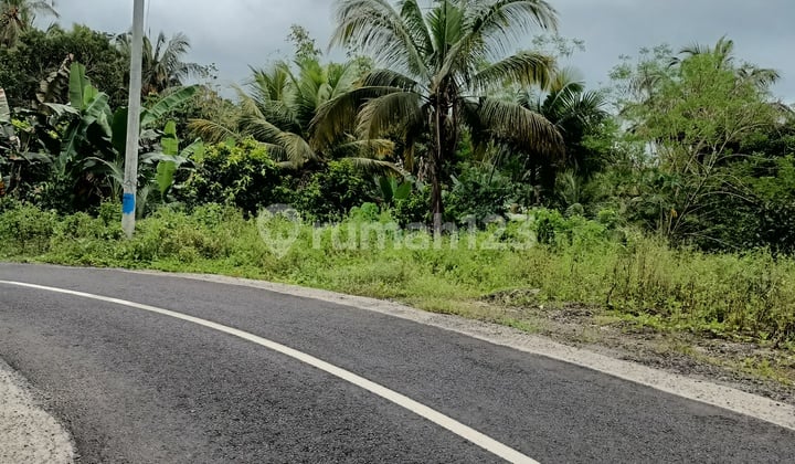Tanah view sungai kecil dekat exit toll Antosari Bali