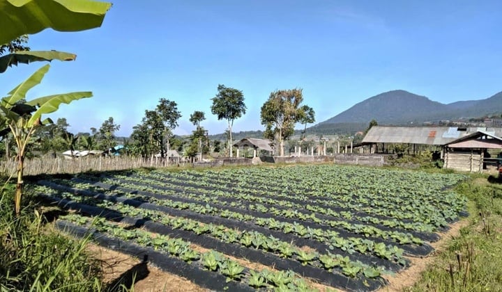 Tanah kebun view lembah dan gunung di Baturiti dekat Bedugul Bali