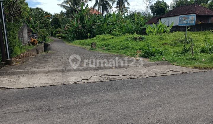 Tanah di Kerambitan 17 menit ke pantai Kelating Bali