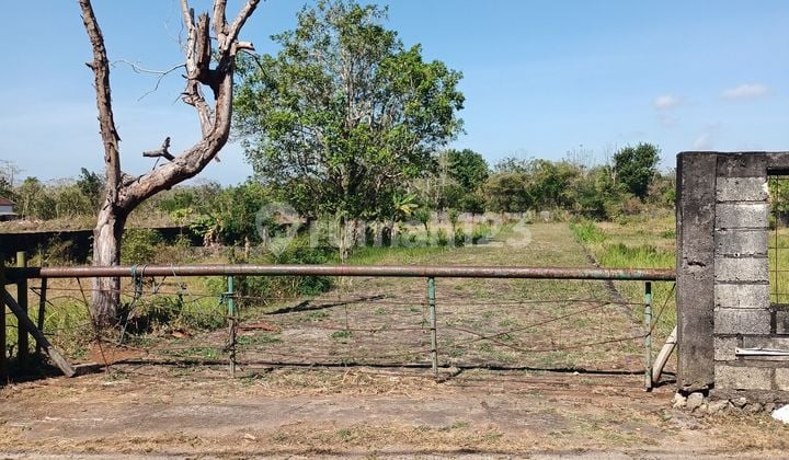 Tanah di Balangan Bali hanya 900 meter dari pantai