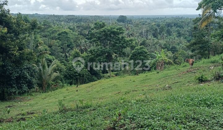 Tanah view gunung dan lembah dekat villa di Tabanan Bali