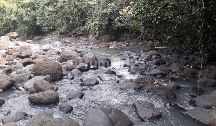 Tanah di Kelecung View Sungai 40 menit ke Canggu Bali