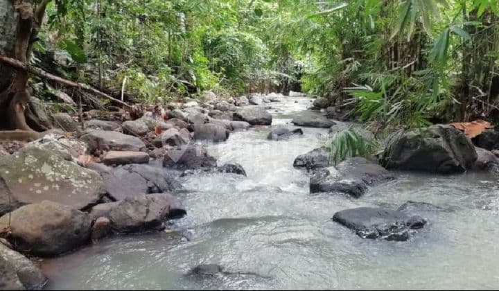 Tanah view sungai di Selemadeg Tabanan dekat air terjun