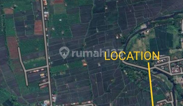 Tanah Di Seririt Bali Hanya 4 Menit Dari Pantai Lokapaksa