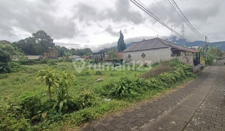 Tanah di Bedugul Bali hanya 50 meter dari jalan Kebun Raya