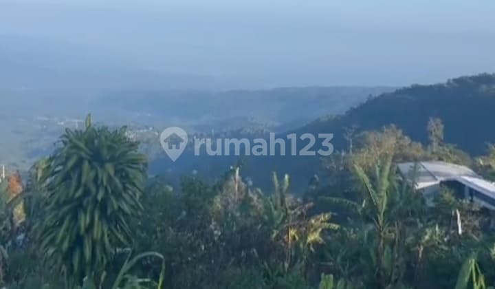 Tanah View Gunung Lembah dan Laut di Munduk Buleleng Bali