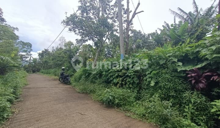 Tanah di Wanagiri Singaraja dekat Altavista Bali Mountain Villa