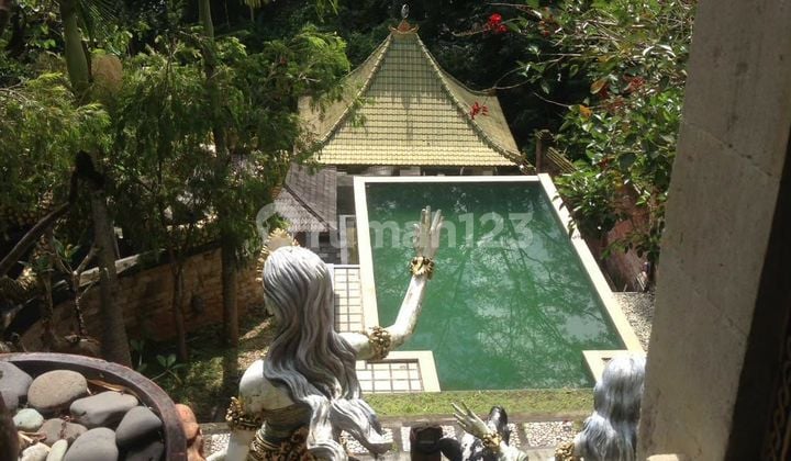 Tanah Gratis Rumah Bali View Jungle di Keliki Ubud