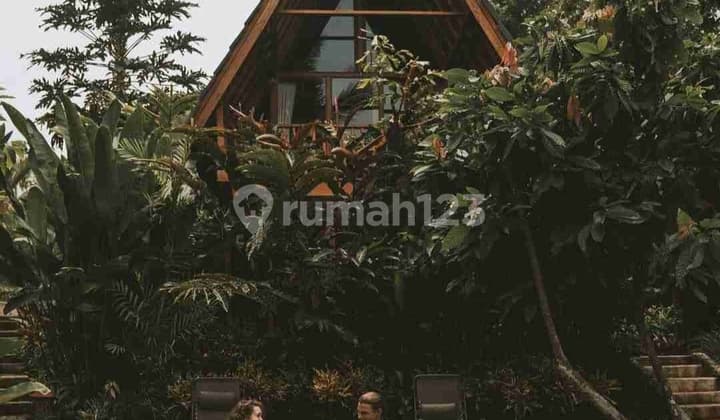 Eco Resort View Sungai Dan Jungle Di Bali