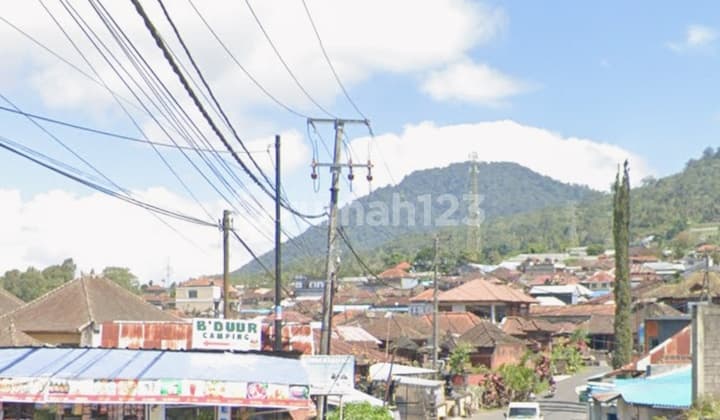 Tanah Zona Pink Hanya 3 Menit Ke Danau Di Bedugul Bali
