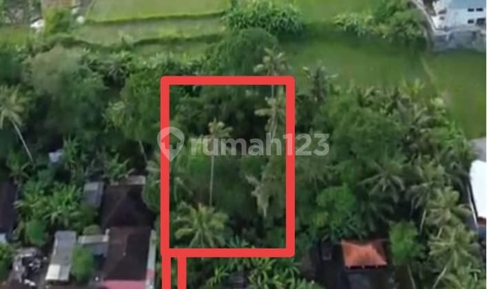 Yellow Zone Land Only 5 Minutes To Empathy School Bali