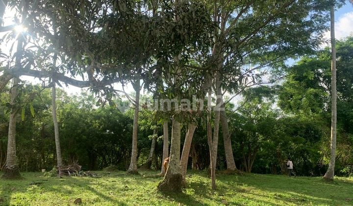 Tanah View Sungai dekat Pantai Balian Bali