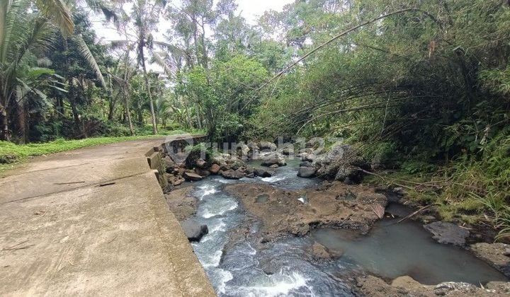 Land for leasehold in Tabanan Bali close Sing Sing Angin waterfall