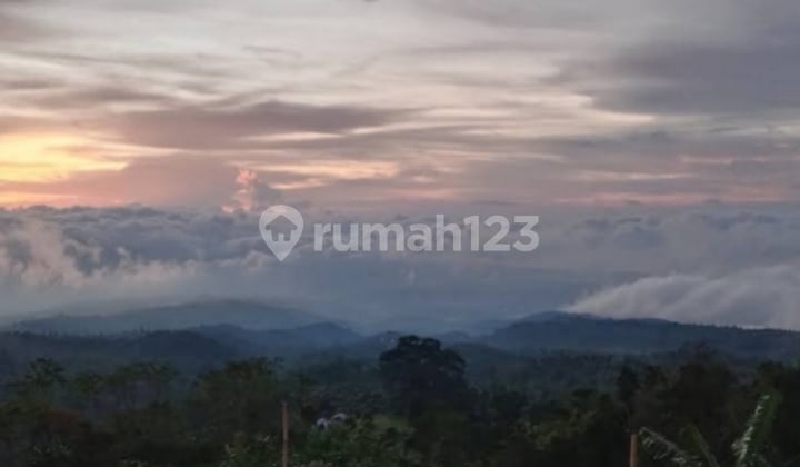 Tanah View Gunung Dan Lembah Dekat Villa Alpha Gesing Munduk Bali