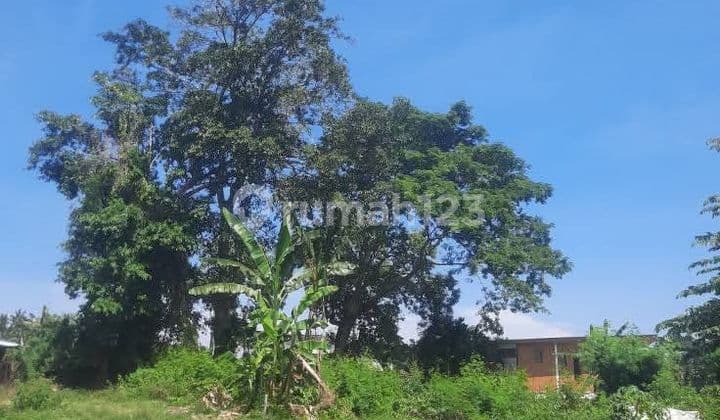 Land for Leasehold in Kedungu Bali close Canggu