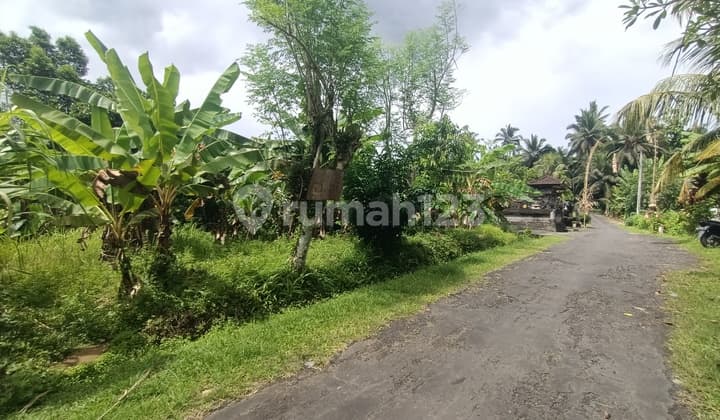 Tanah Zona Kuning Dekat Pantai Selabih Tabanan Bali