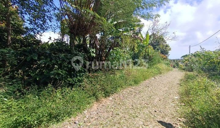 Tanah view lembah di Wanagiri dekat Munduk dan Bedugul