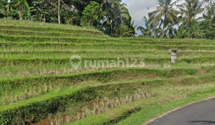 Tanah View Sawah Dan Laut Di Megati Tabanan Bali
