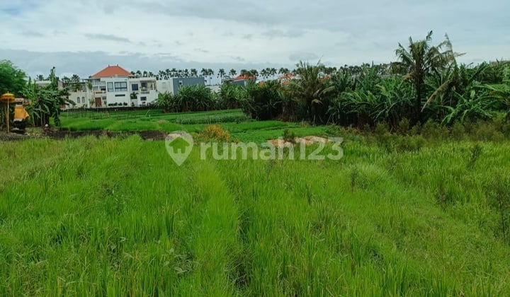 Tanah Di Tumbak Bayuh Dekat Pererenan Dan Canggu Bali