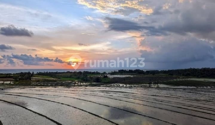 Tanah Zona Pink 600 Meter Dari Pantai Kelecung Bali