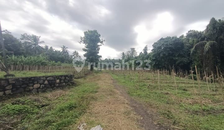 Tanah Zona Pink Dekat Pantai Pekutatan dan Medewi Bali