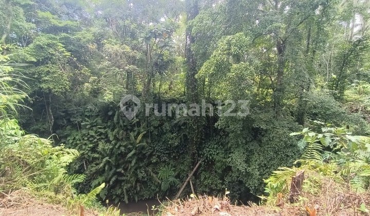 Tanah View Sungai Dan Jungle Di Kenderan Dekat Ubud Bali