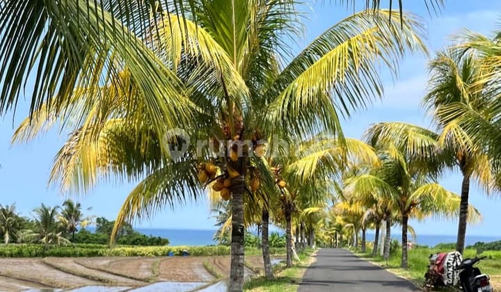 Tanah Zona Pink 400 Meter Dari Pantai Kelecung Bali