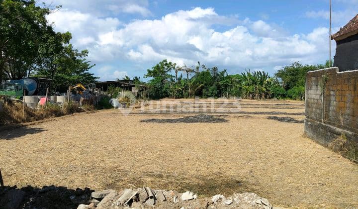 Pink Zone Land in Ketewel Near Ida Bagus Mantra Road, Bali