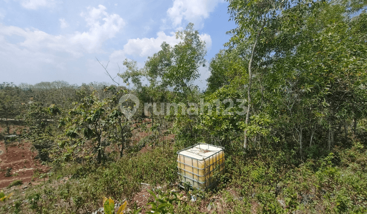 Tanah Cantik Berbukit dengan View Kota Wonosari Nan Exotik Melihat Sunrise dan Sunset Dari Satu Tempat Dekat dengan Kampus Uny Wonosari