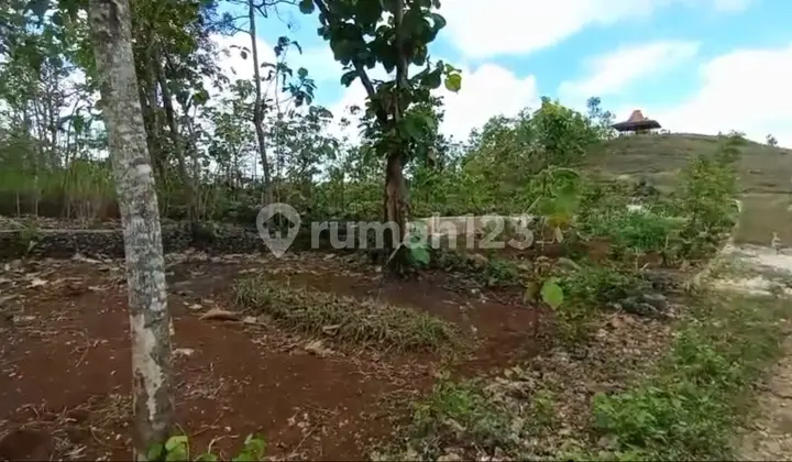 Tanah Cantik Berbukit dengan View Kota Wonosari Nan Exotik Melihat Sunrise dan Sunset Dari Satu Tempat Dekat dengan Kampus Uny Wonosari