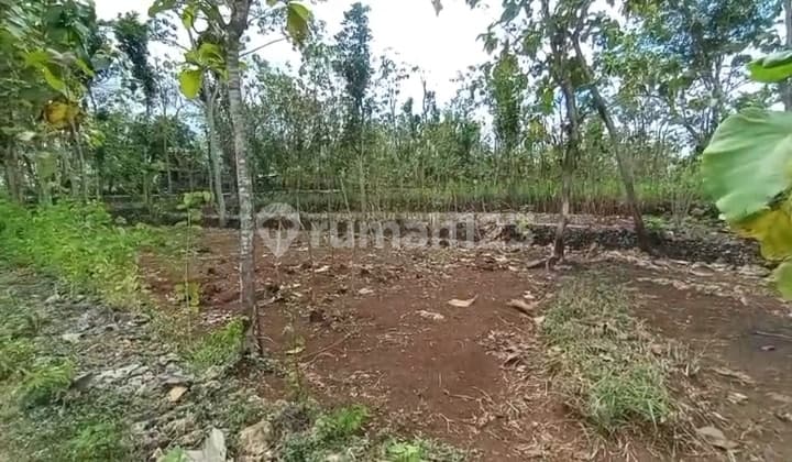 Tanah Cantik Berbukit dengan View Kota Wonosari Nan Exotik Melihat Sunrise dan Sunset Dari Satu Tempat Dekat dengan Kampus Uny Wonosari