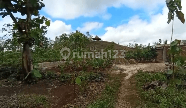 Tanah Cantik Berbukit dengan View Kota Wonosari Nan Exotik Melihat Sunrise dan Sunset Dari Satu Tempat Dekat dengan Kampus Uny Wonosari