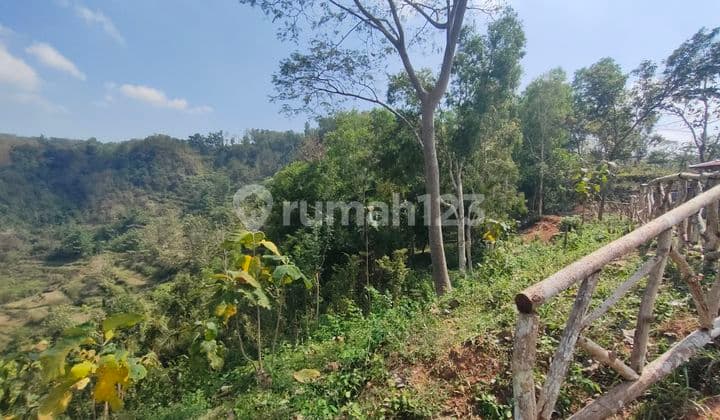 Tanah Cantik dengan View Hutan Pinus dan Kelok Sungai yang Sangat Cantik