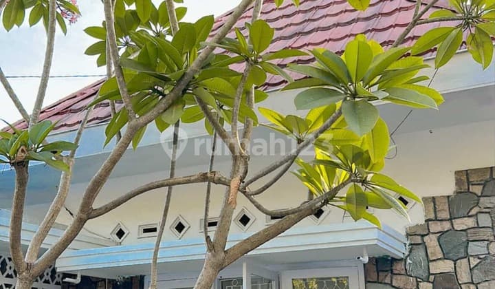 Rumah Kolonial Cantik Dengan Halaman Luas Berada Ditengah Kota Yogyakarta