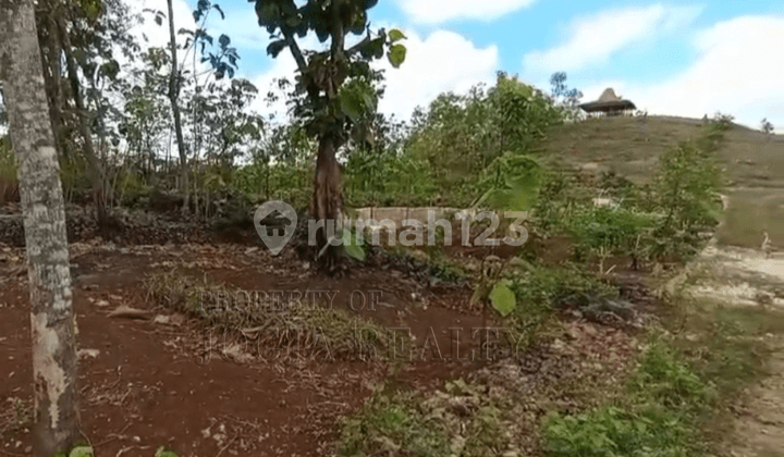 Tanah Cantik Berbukit dengan View Kota Wonosari Nan Exotik Melihat Sunrise dan Sunset Dari Satu Tempat Dekat dengan Kampus Uny Wonosari