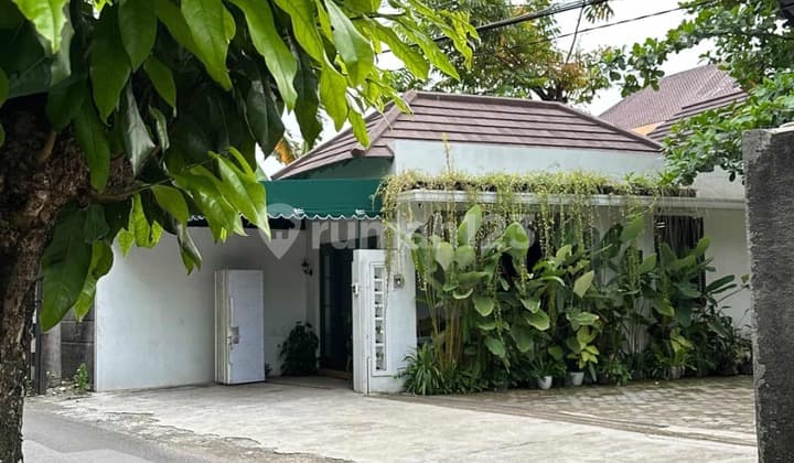 Rumah Kolonial Cantik Dengan Halaman Luas Berada Ditengah Kota Yogyakarta