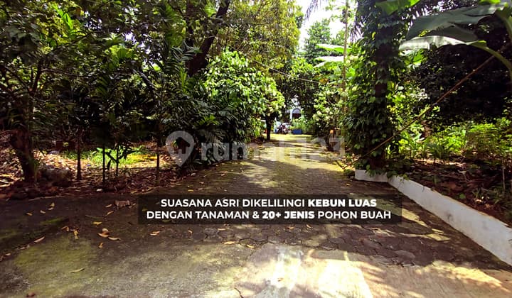 Dijual Rumah Besar 2.600M2, Asri & Siap Huni (Jakarta Timur)