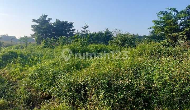 Dijual Kavling Tanah Kosong Murah Luas 7Ha di Legok - Tangerang